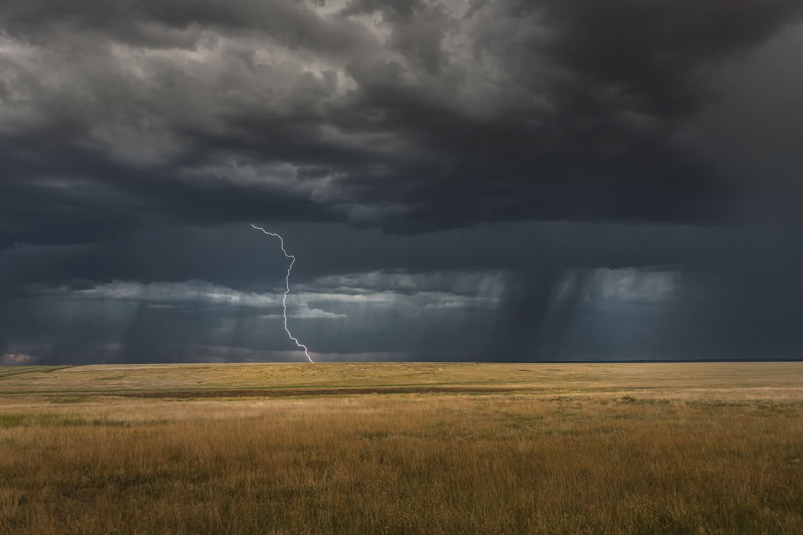 Rain shaft and lightning falling from a dark storm over open ground